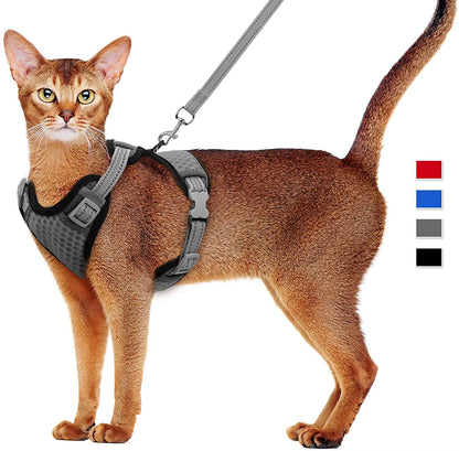 Cat Dog Adjustable Harness Vest Walking Lead Leash for Puppy Dogs Collar Polyester Mesh Harness for Small Medium Dog Cat Pet
