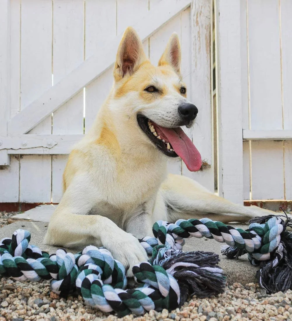 Jouet Corde XL Ultra-Résistante – Spécial Grands Chiens & Mâcheurs Puissants
